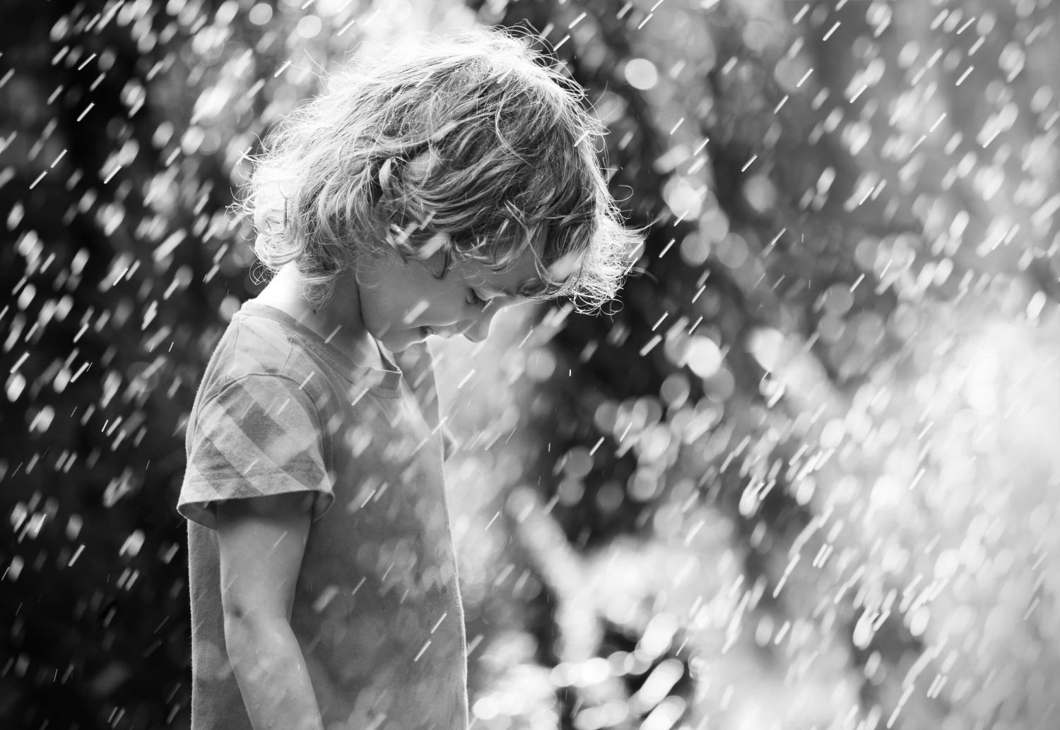 A boy and the summer rain